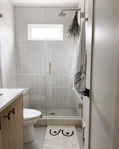 a bathroom with a shower, toilet and rug in it's center area on the floor