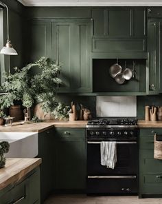 a kitchen with green cabinets and white counter tops, pots on the stove top and potted plants hanging over the burner