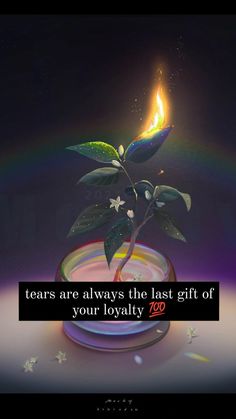 a small pot with a plant in it and a rainbow behind it that says, tears are always the last gift of your royalty