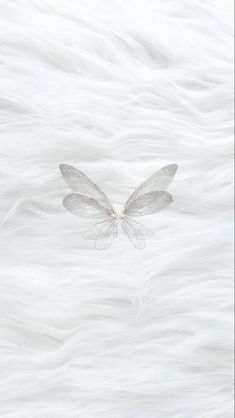 a white butterfly flying through the air with its wings spread out in front of it