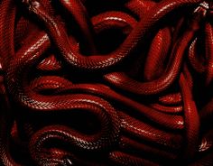 red snake skin textured up close to the camera with an interesting pattern on it