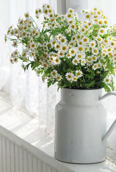 a white pitcher filled with daisies on top of a window sill