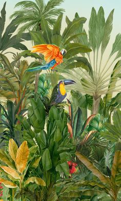 two colorful birds sitting on top of lush green leaves and plants in a jungle area