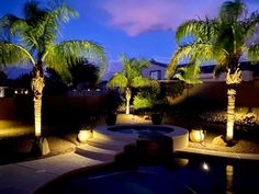 palm trees lit up in front of a pool at night