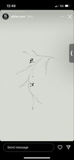 an iphone screen with the text send message on it and a drawing of a branch