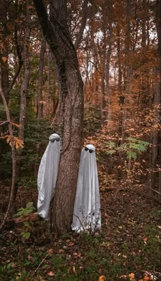 two white cloth covered bodies hanging from a tree in the woods