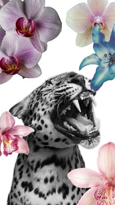 a leopard with its mouth open next to some flowers and orchids on a white background