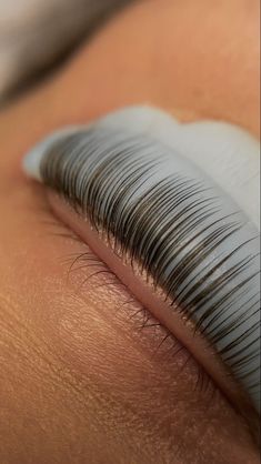 Lash Lift And Tint Aesthetic, Eyebrow Lamination Aesthetic, Lashlift Aesthetic, Lash Lift Quotes, Eyelashes Lamination, Lashes Instagram Feed, Lashes Esthetics, Lash Lift Aesthetic, Microblading Aesthetic