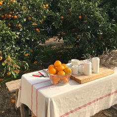 CarolinaBlues Bowl Of Oranges, Summer In Italy Aesthetic, Terrence Loves You, Dinner Party Summer, Into The West, Italy Aesthetic, Orange Tree, Summer Dinner, Italian Summer