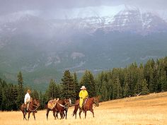 two men are riding horses in a field with mountains in the backgrouds