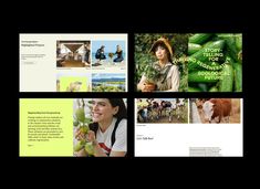 the brochure features images of people and animals