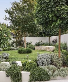 an outdoor garden with trees, bushes and plants in the foreground is a white wall