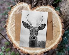 a black and white photo of a deer with antlers on it's head