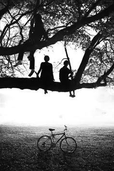 two people sitting on a tree branch with a bicycle in the foreground and one person standing next to it