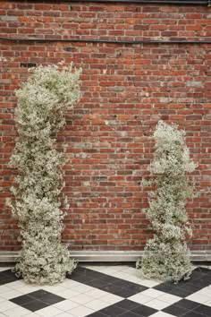 two tall bushes are in front of a brick wall and black and white checkered floor