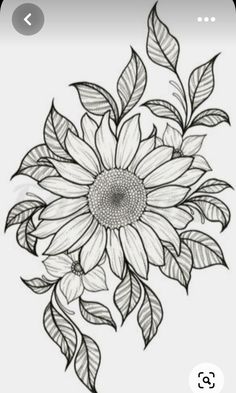 a black and white drawing of a sunflower with leaves on it's petals