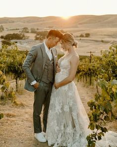 a bride and groom standing in the middle of a vineyard with sun setting behind them