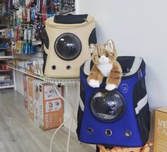 a stuffed cat sitting on top of a blue object in a room filled with other items