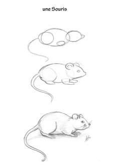 three different types of mouses are shown in this drawing