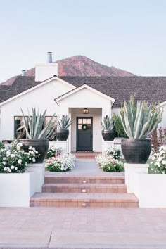 a white house with potted plants in front of it