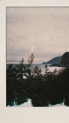 a polaroid photograph of the ocean and mountains