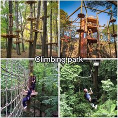 several pictures of people climbing in the trees with ropes and platforms above them, along with text that reads climbing park