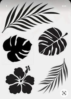 the silhouettes of tropical leaves and flowers