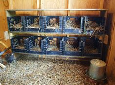 a barn filled with lots of different types of animals in it's cages