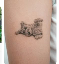 two pictures one with a small dog and the other has a tattoo on it's arm