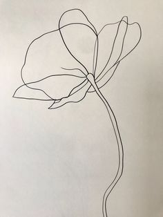 a black and white drawing of a flower on a sheet of paper with lines drawn across it