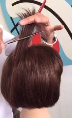 TIP OF THE DAY: How To Cut To Get Volume At The Crown - Wellness - Modern Salon