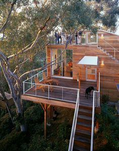 people standing on top of a wooden deck next to a tree filled forest with stairs leading up to the upper level