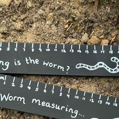 two rulers with words written on them sitting in the ground next to a ruler that says, king is the worm?