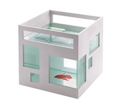 an aquarium with two goldfish in it