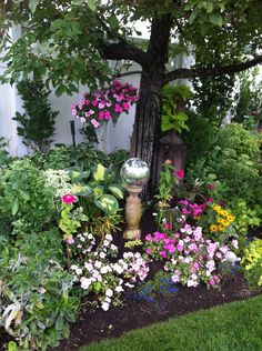 a garden filled with lots of flowers next to a tree