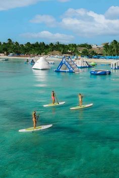 several people are paddle boarding in the ocean