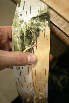 a person holding onto a piece of wood that has been stained white and green with brown streaks