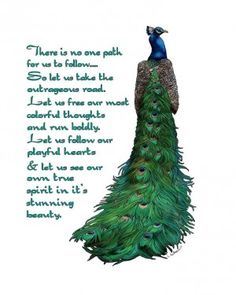 a peacock with its feathers spread out and the words on it are written in green