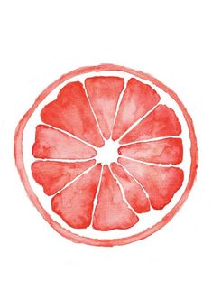 a grapefruit cut in half on a white background with watercolors and ink