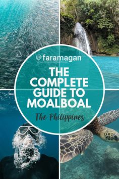 the complete guide to moalboal, the philippines's most popular tourist attraction