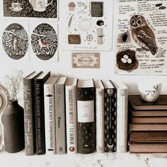 there are many books on the shelf next to each other and an owl figurine