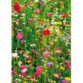 a field full of colorful flowers and grass