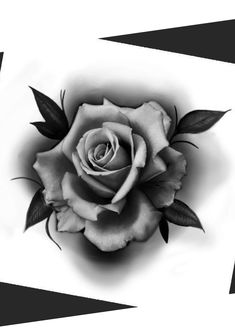 a black and white photo of a rose