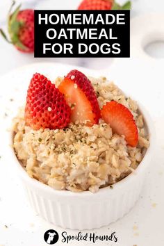 a bowl filled with oatmeal and strawberries next to the words homemade oatmeal for dogs