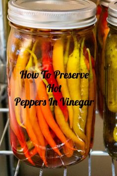 jars filled with pickled peppers sitting on top of a rack