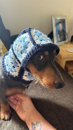 a small dog wearing a crocheted hat on top of his head and hand