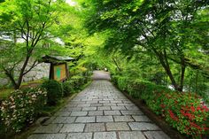 the walkway is lined with flowers and trees