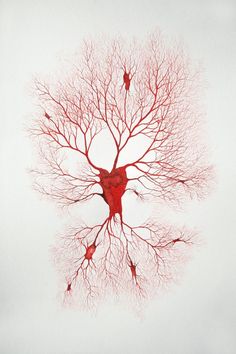 an image of a tree with red branches in the shape of a human heart on a white background