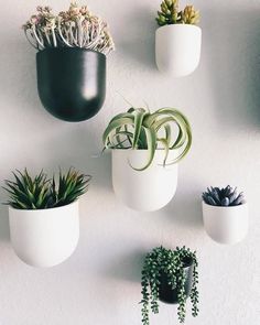 four white planters hanging on the wall with succulents