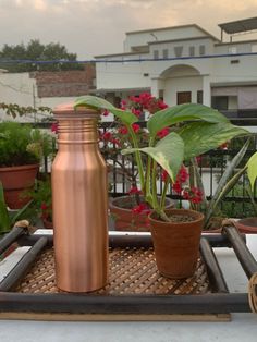 a copper water bottle sitting on top of a tray next to a potted plant